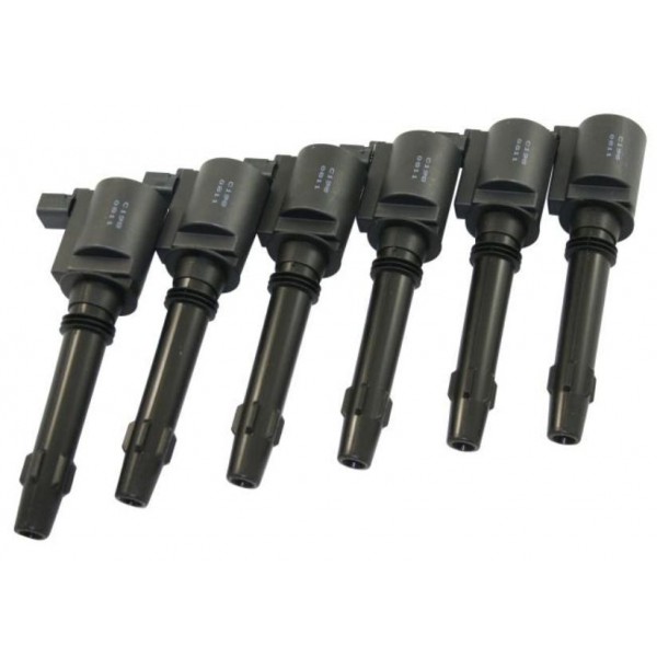6 x Ford Falcon Fairlane Fairmont BA BF Territory 6cyl Ignition Coil + Grease